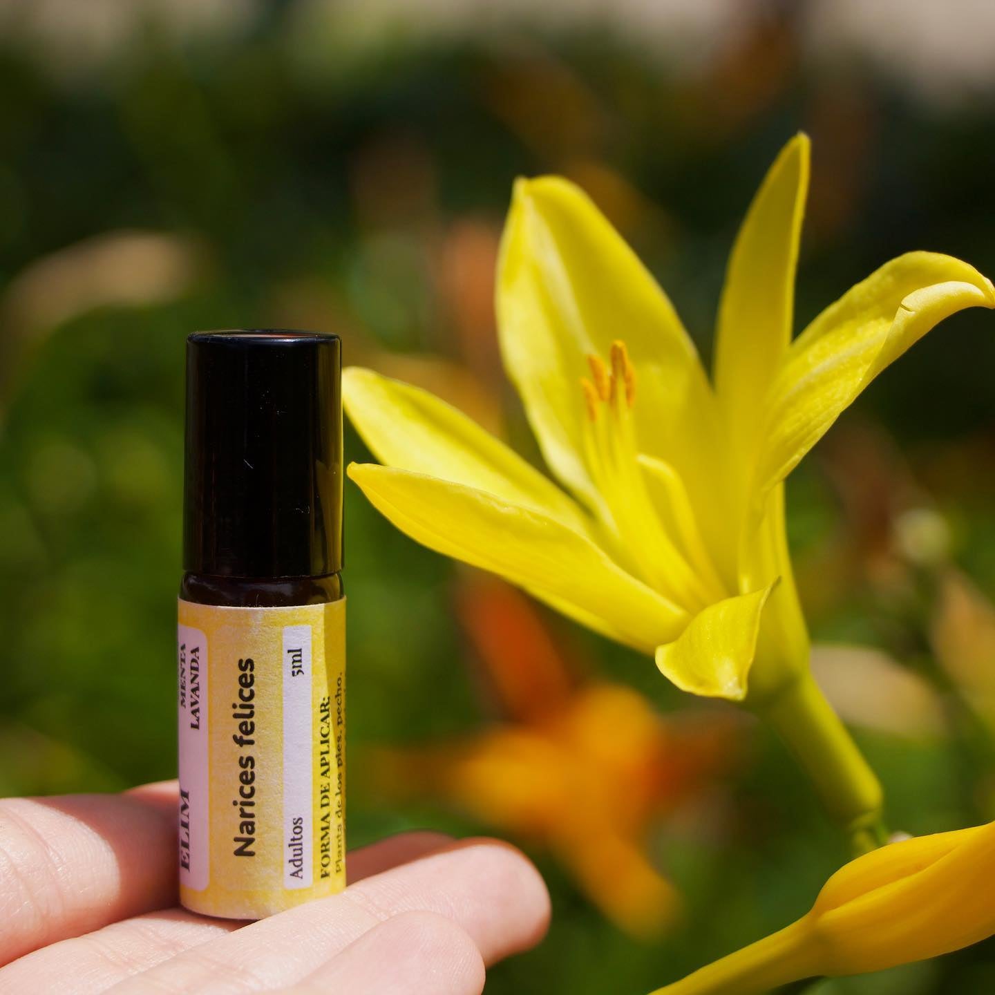 Kit Familiar - Roll-on Elim Aromaterapia